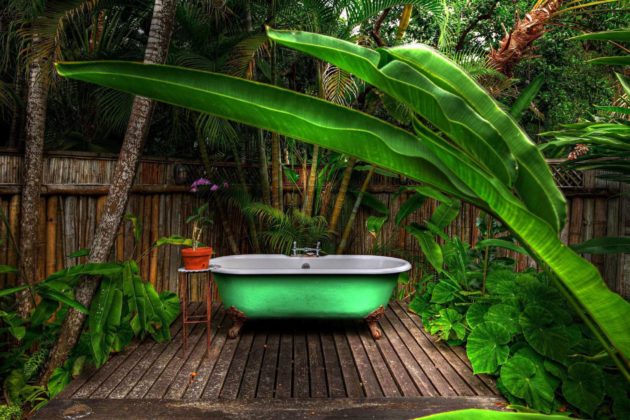 forest bath at goldeneye hotel jamaica caribbean