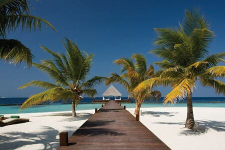 beach at coco palm bodu hithi resort maldives